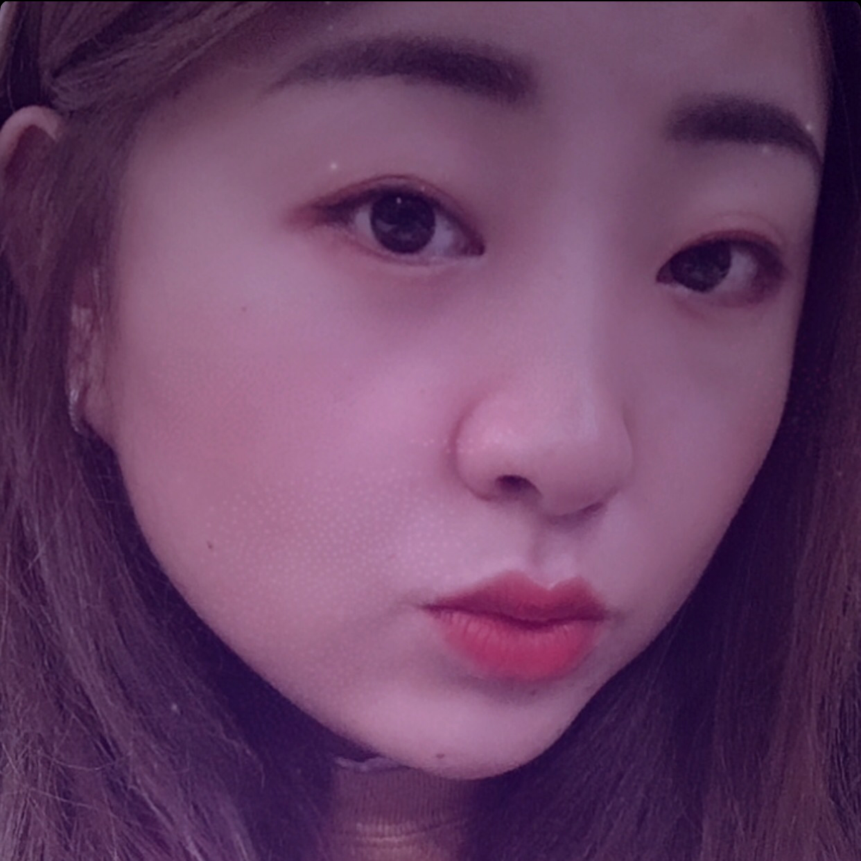 风筝有风，海豚有的照片