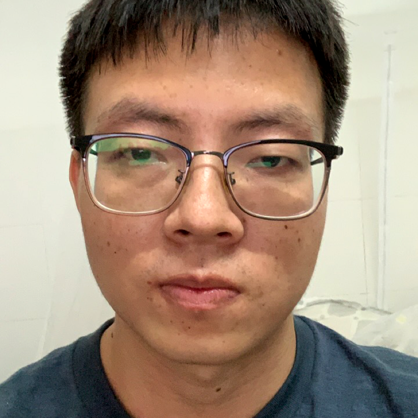 单薄和斑马的照片