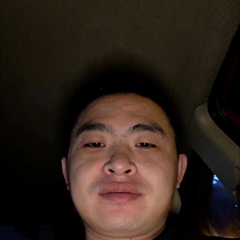 机器猫泪了狂野的照片