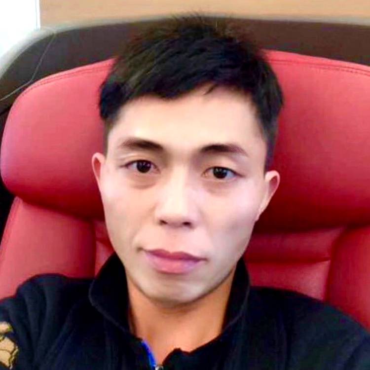 康乃馨向霸气的照片
