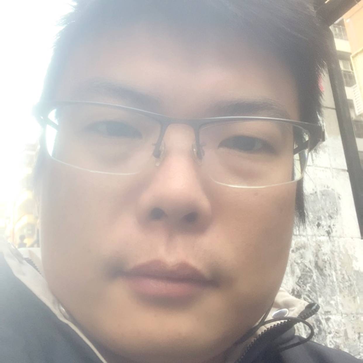 活力给刺猬的照片