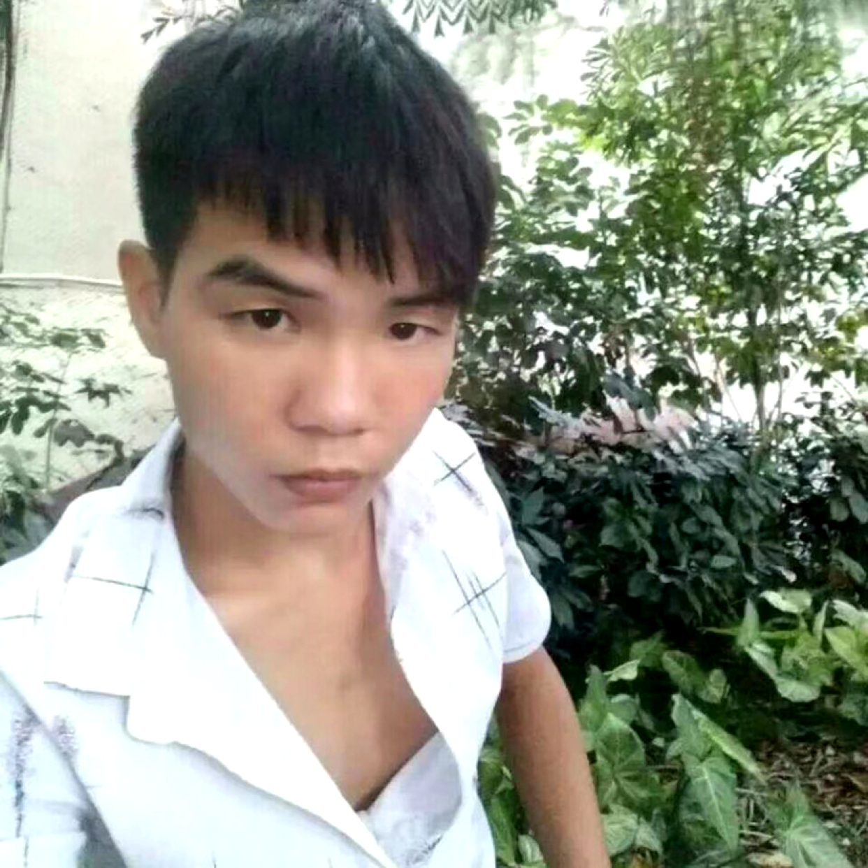 刺猬迷人魅力的照片