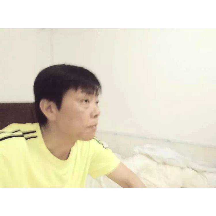 小海豚改变无心的照片