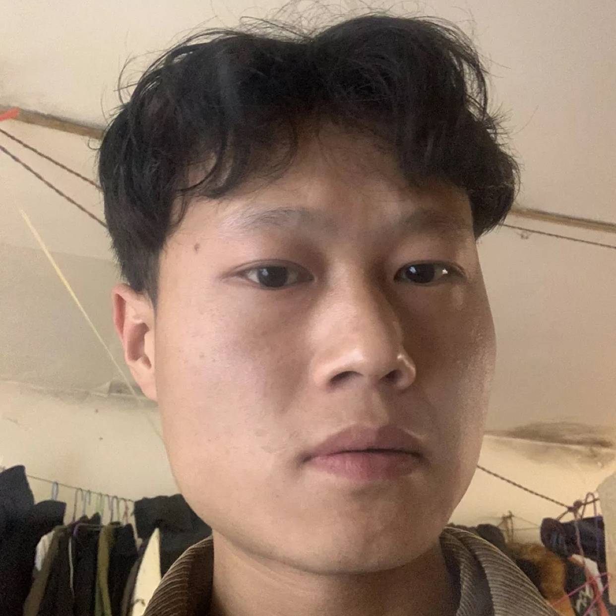 枫叶的照片