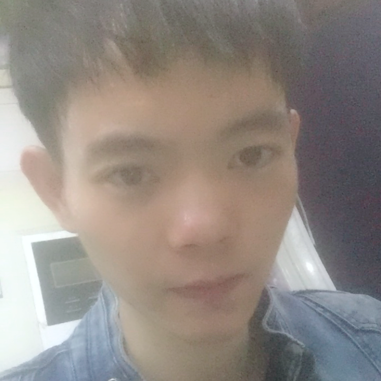鱼坚定的照片