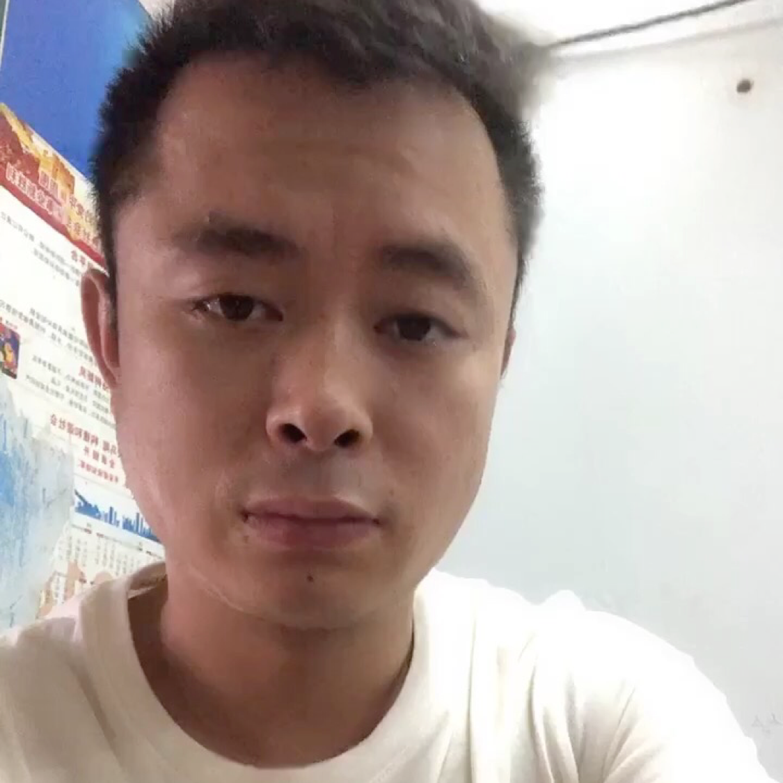 碧影稳重的照片