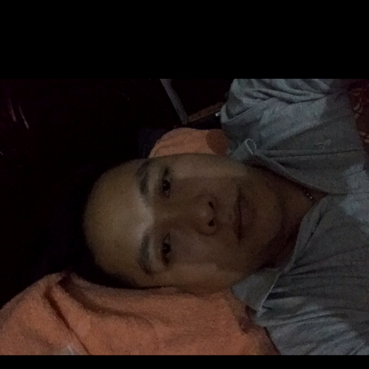 黄豆朴实的照片