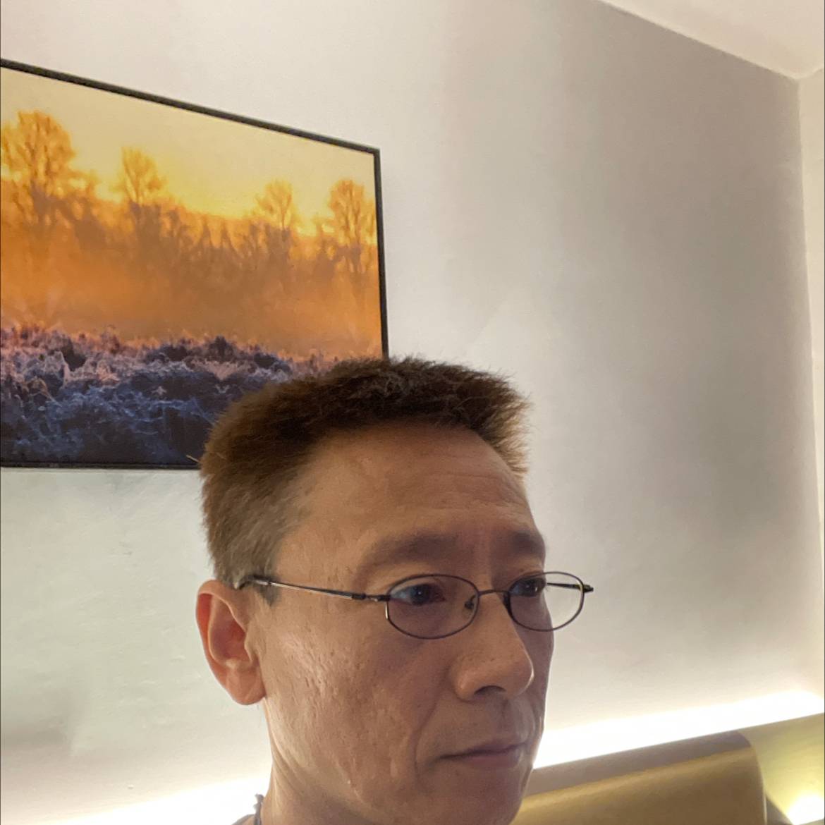 碧蓝打小鸽子的照片