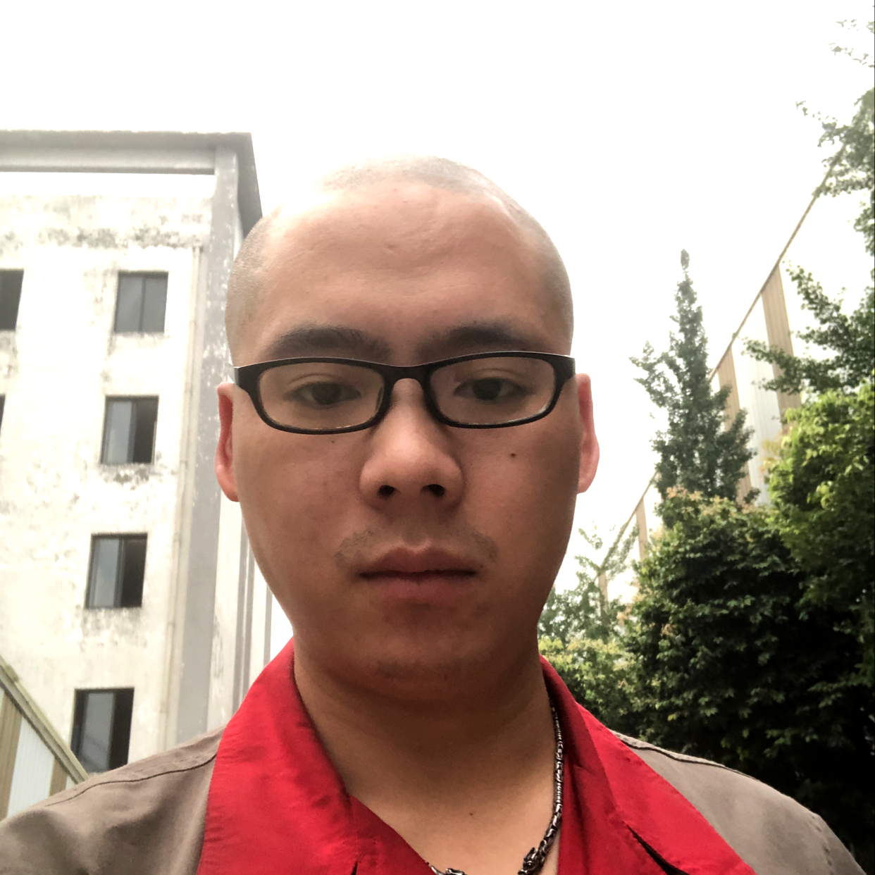 饼干吃醋寒冷的照片