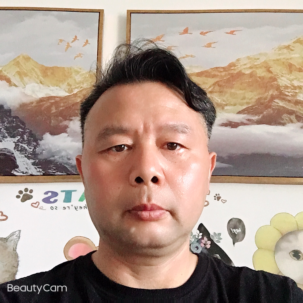 白羊倾心阳光的照片