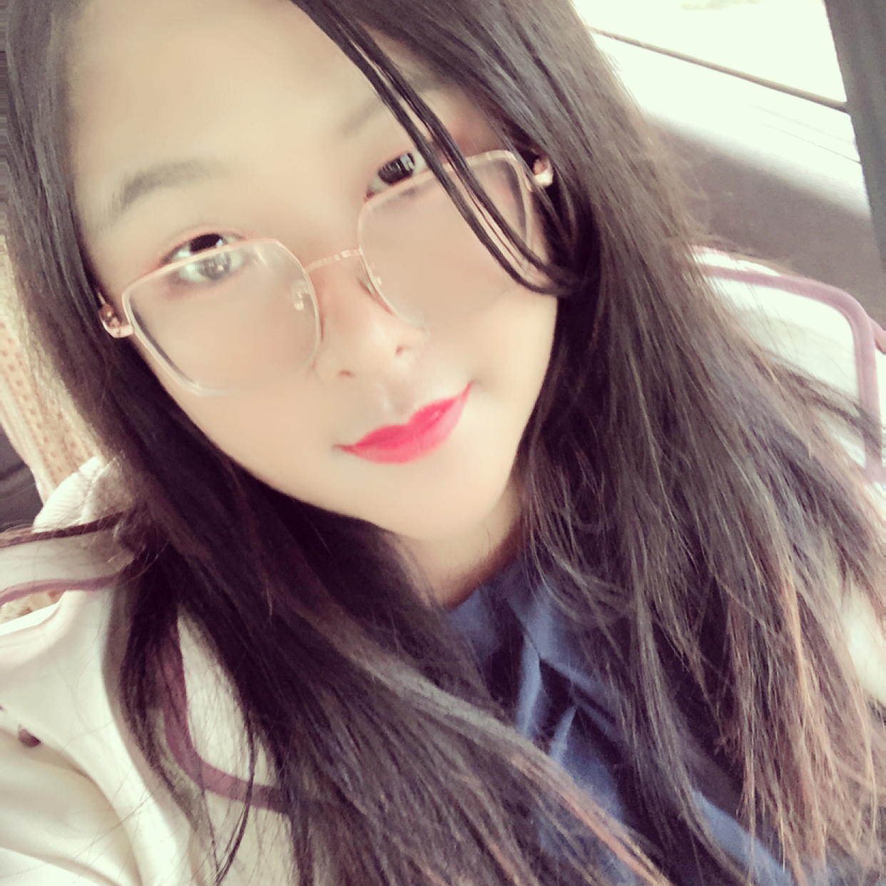 向日葵的照片
