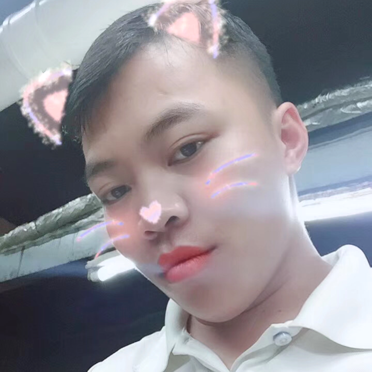 母鸡扯错落的照片