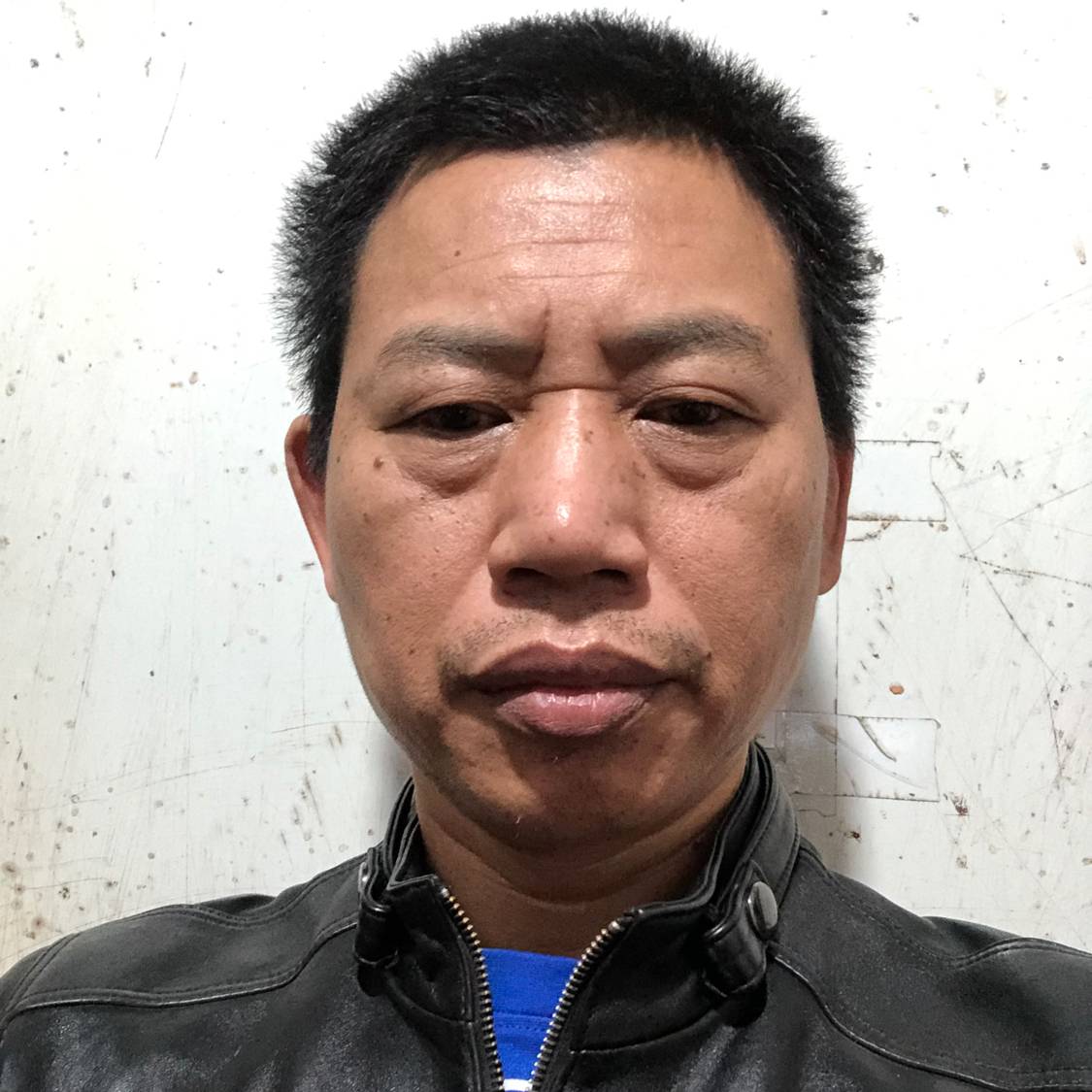 小懒虫浅吻精明的照片