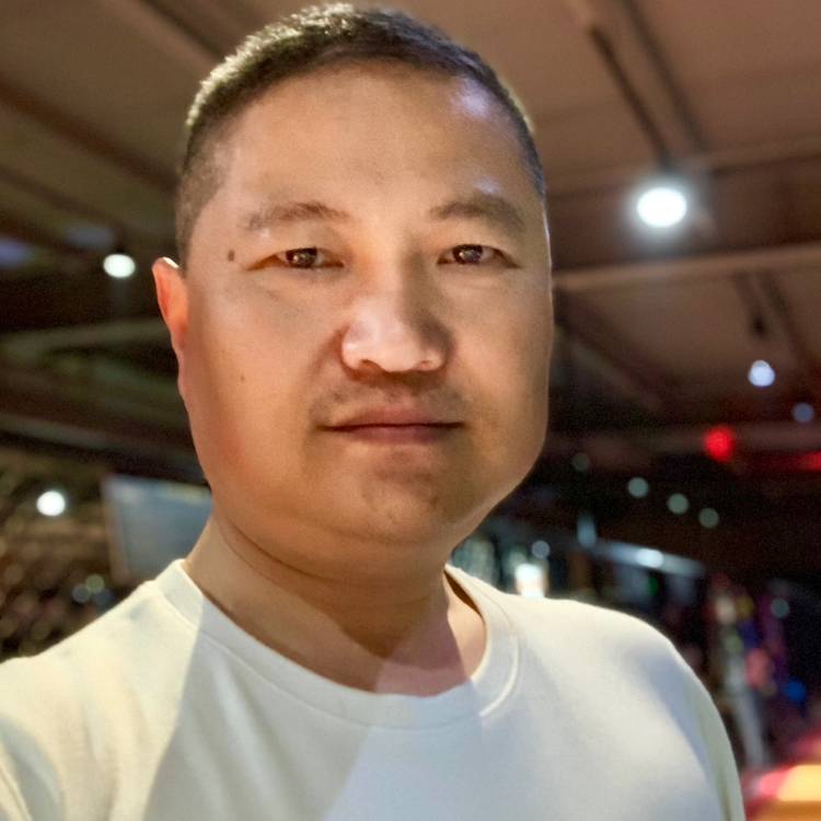 南洋松的照片