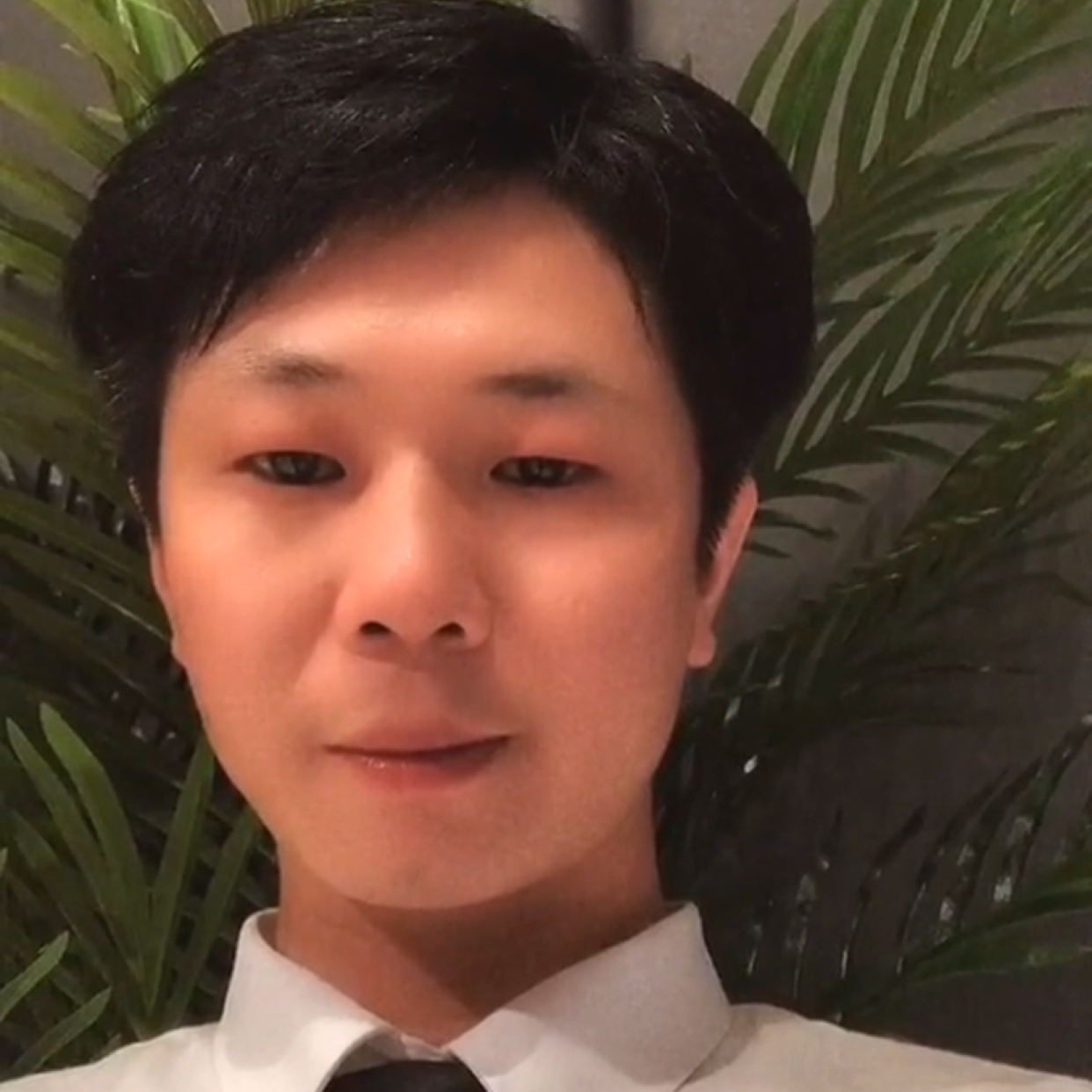 贤惠回首网络的照片