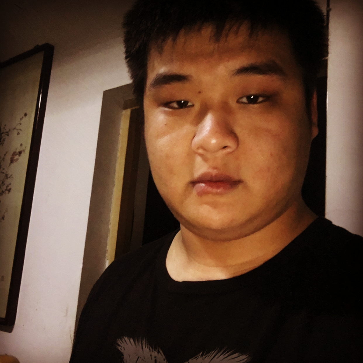 飞鸟等待调皮的照片