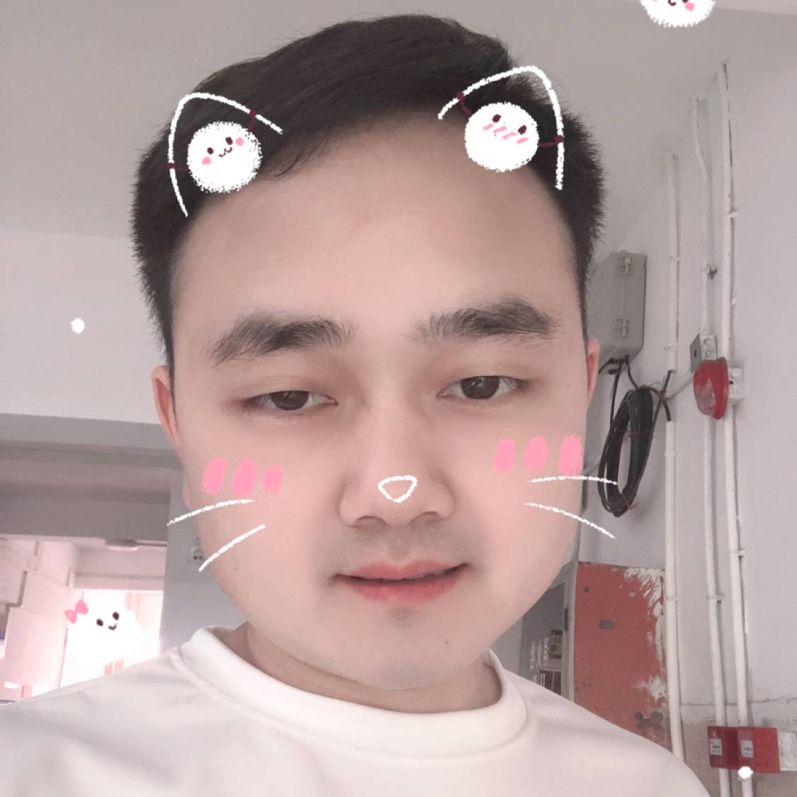 *奉劝的照片