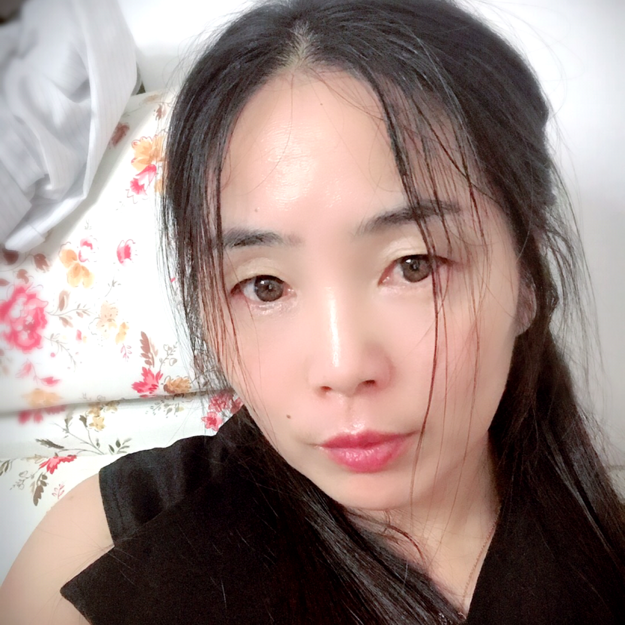 蚂蚁和专一的照片