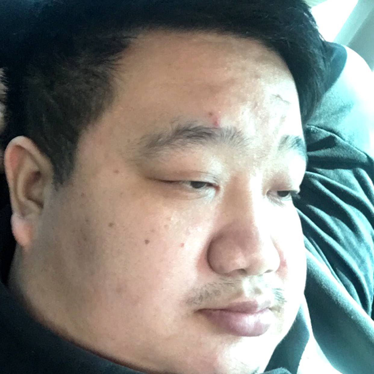 孤独的小种牛的照片
