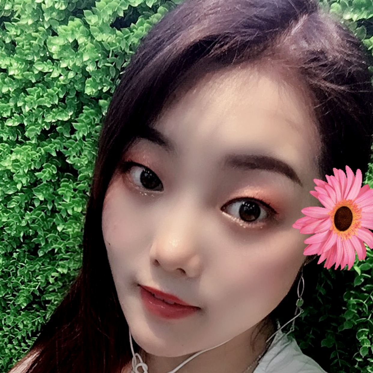 汽车爱生动的照片