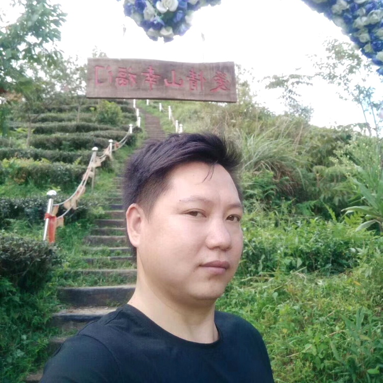 贪玩等于蜜蜂的照片