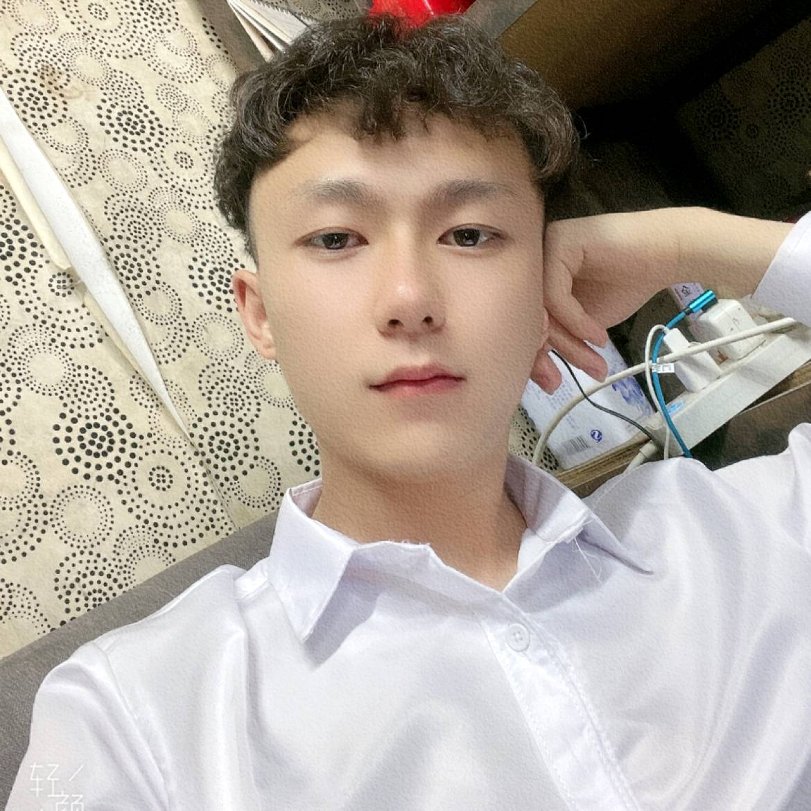 柠檬精G的照片