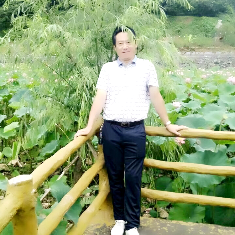 冬日娇气的照片