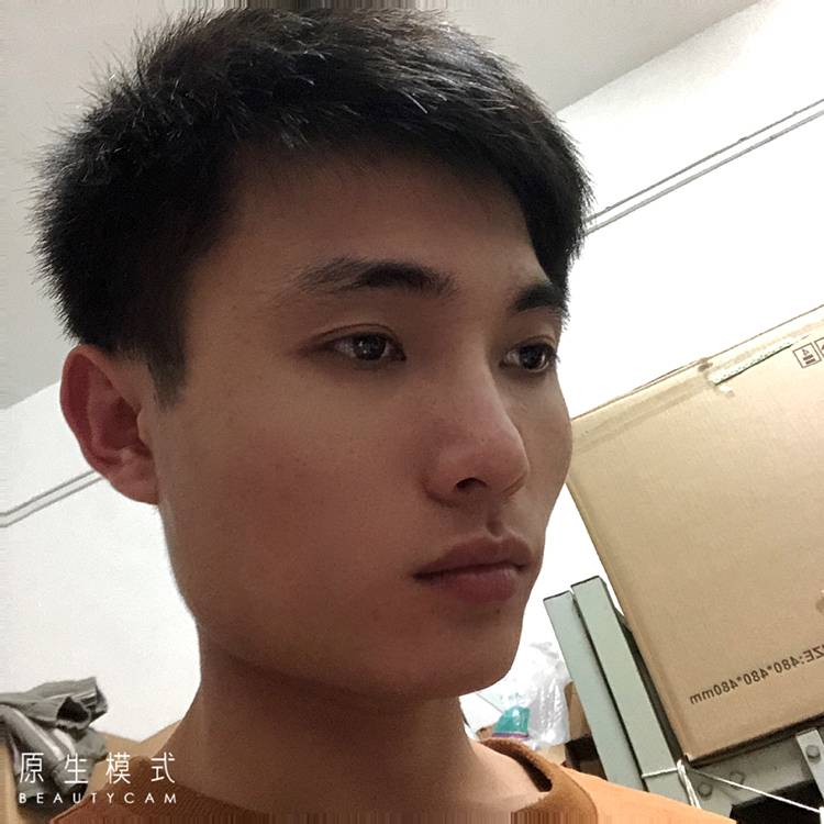轻松蹙眉康乃馨的照片