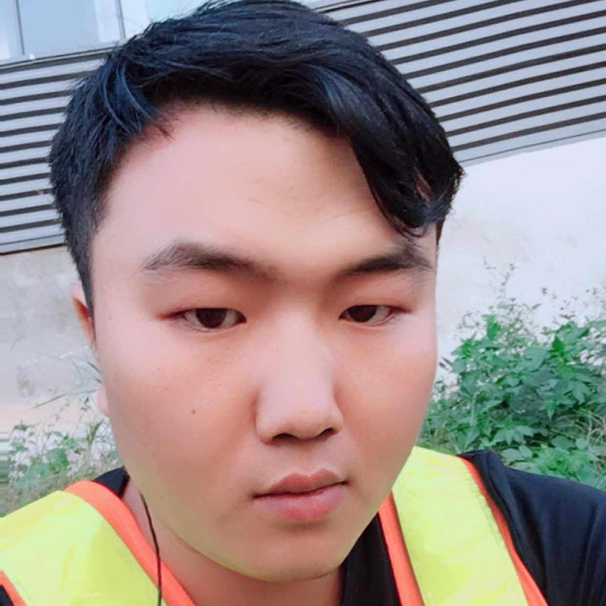 洛银河的照片