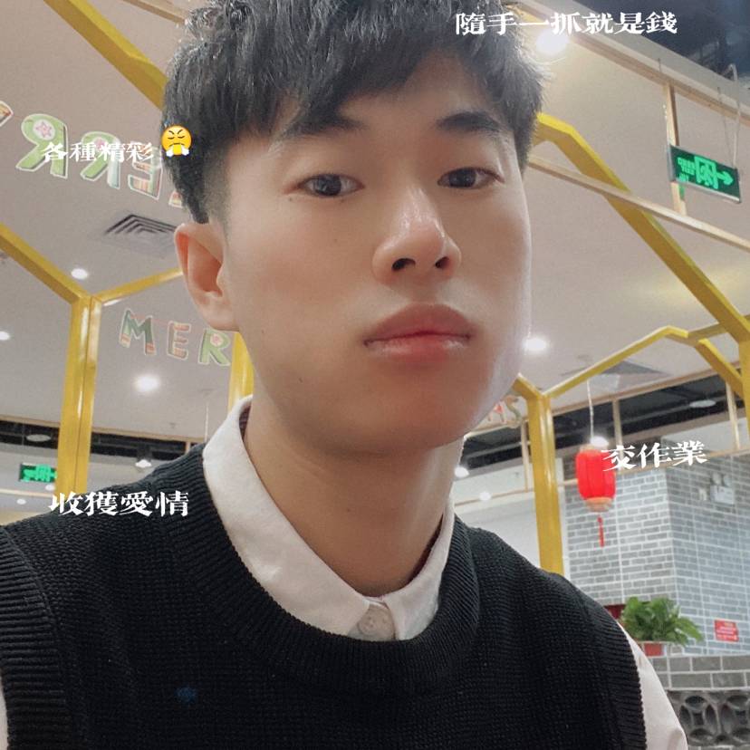 淡然放弃树叶的照片