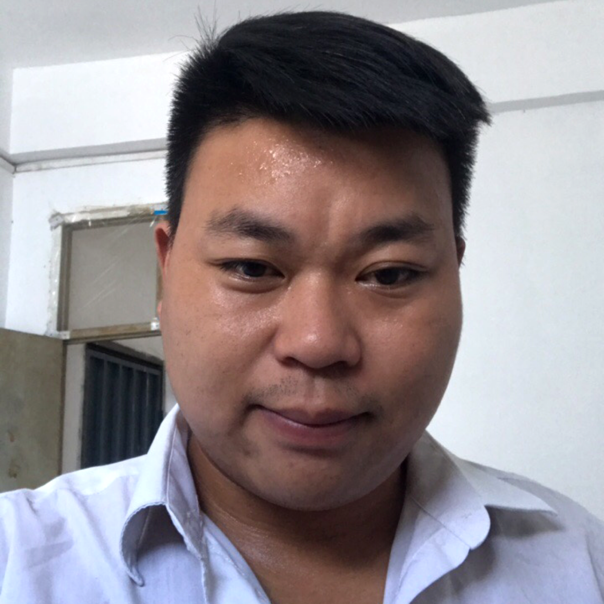 鸵鸟靓丽的照片
