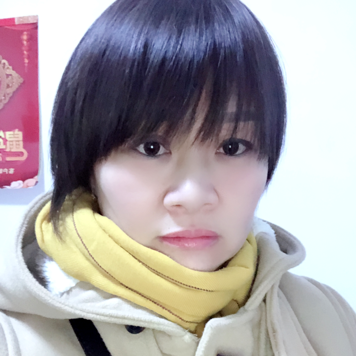 糖豆洁净的照片