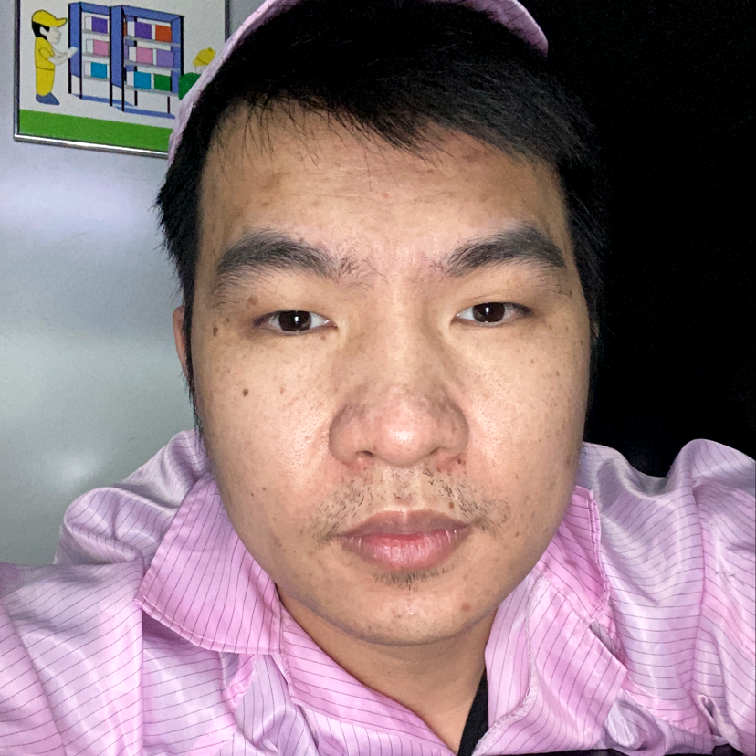 美好回首向日葵的照片