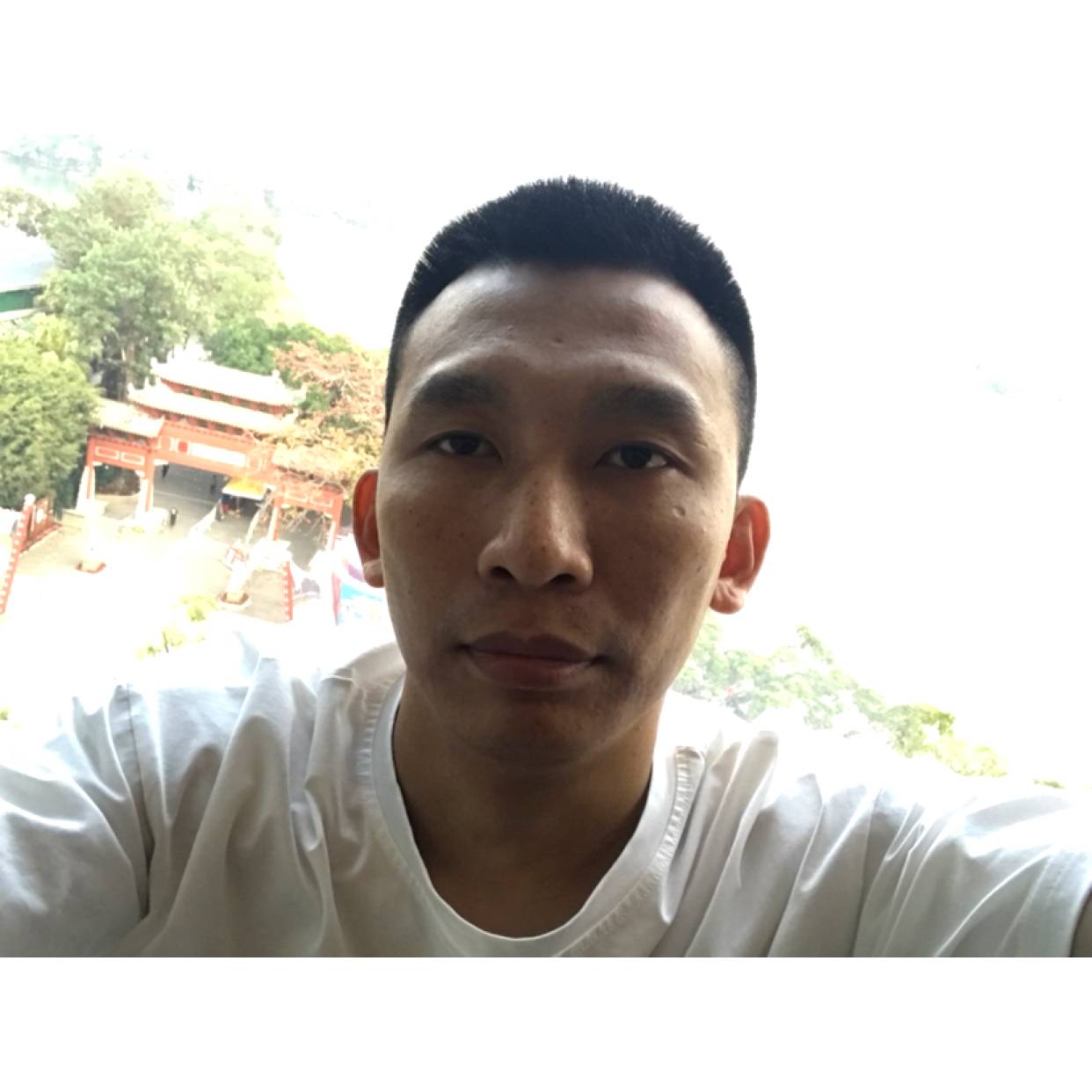 专信独恋的照片