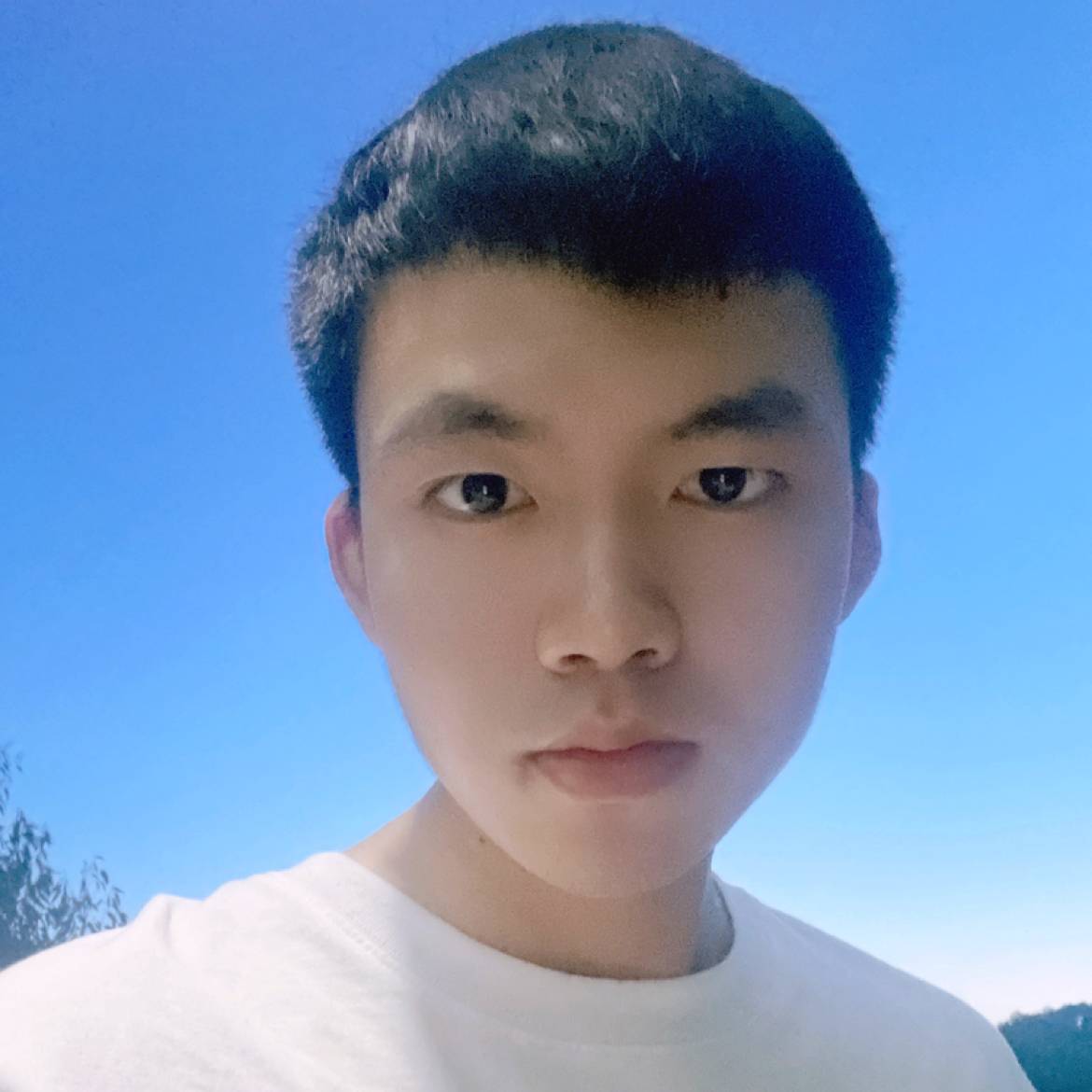 墨客城的照片
