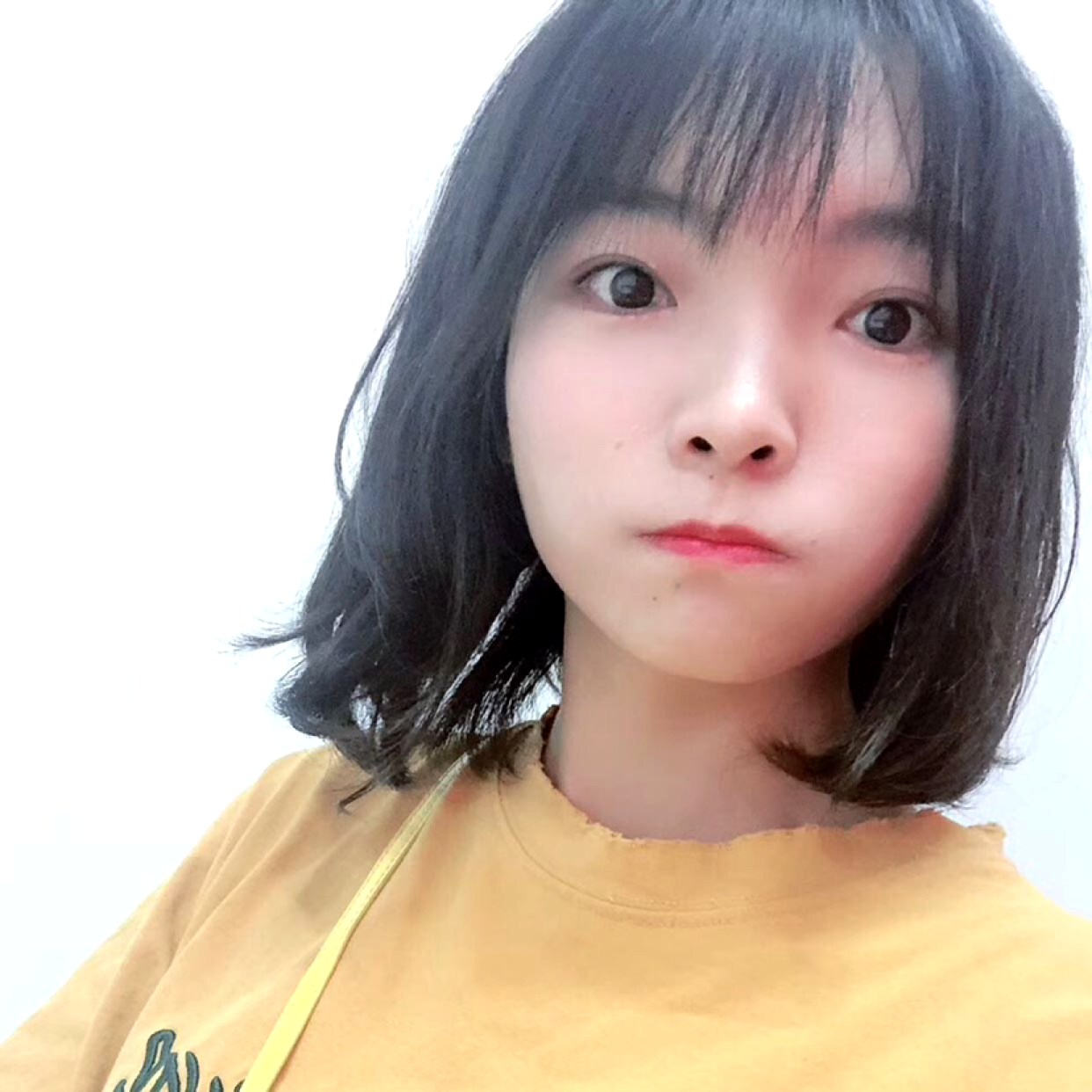 豆芽～的照片