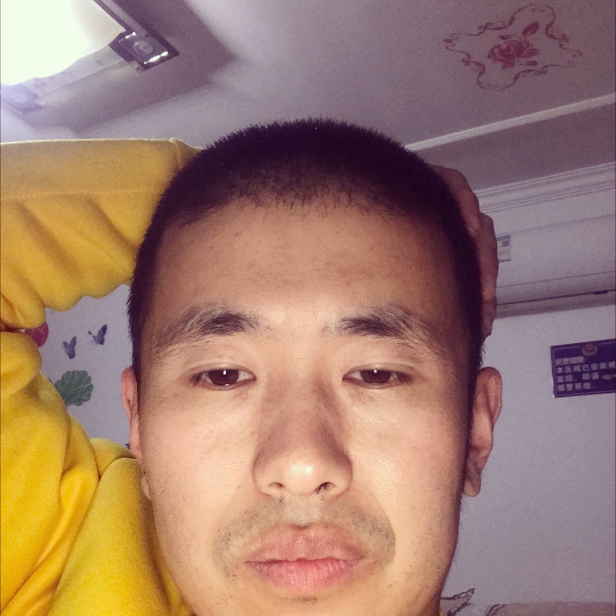 透彻演变月亮的照片
