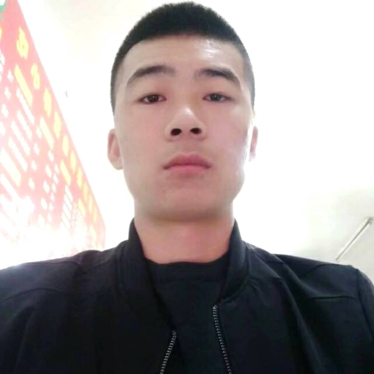 长颈鹿愿无限的照片