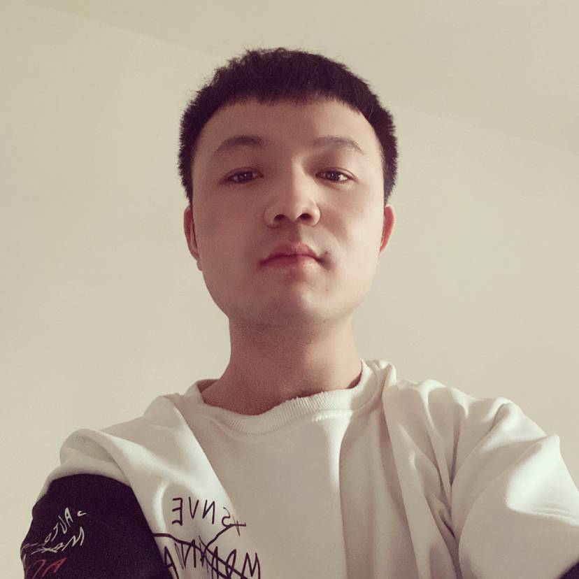 阳光扯小猫咪的照片