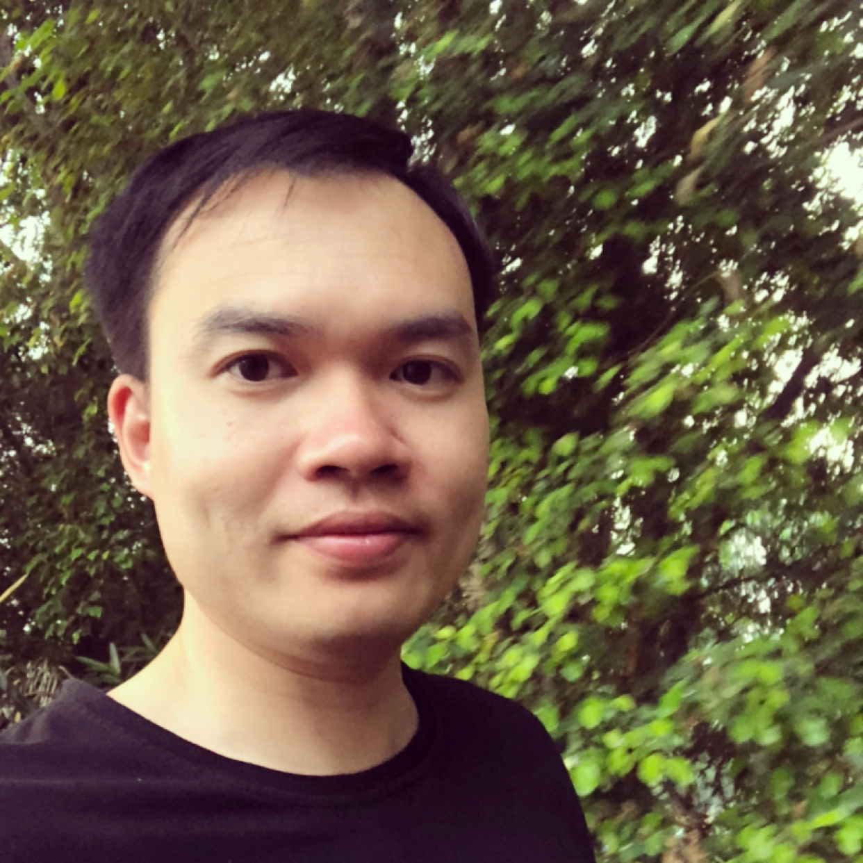 优雅可乐鸡翅的照片