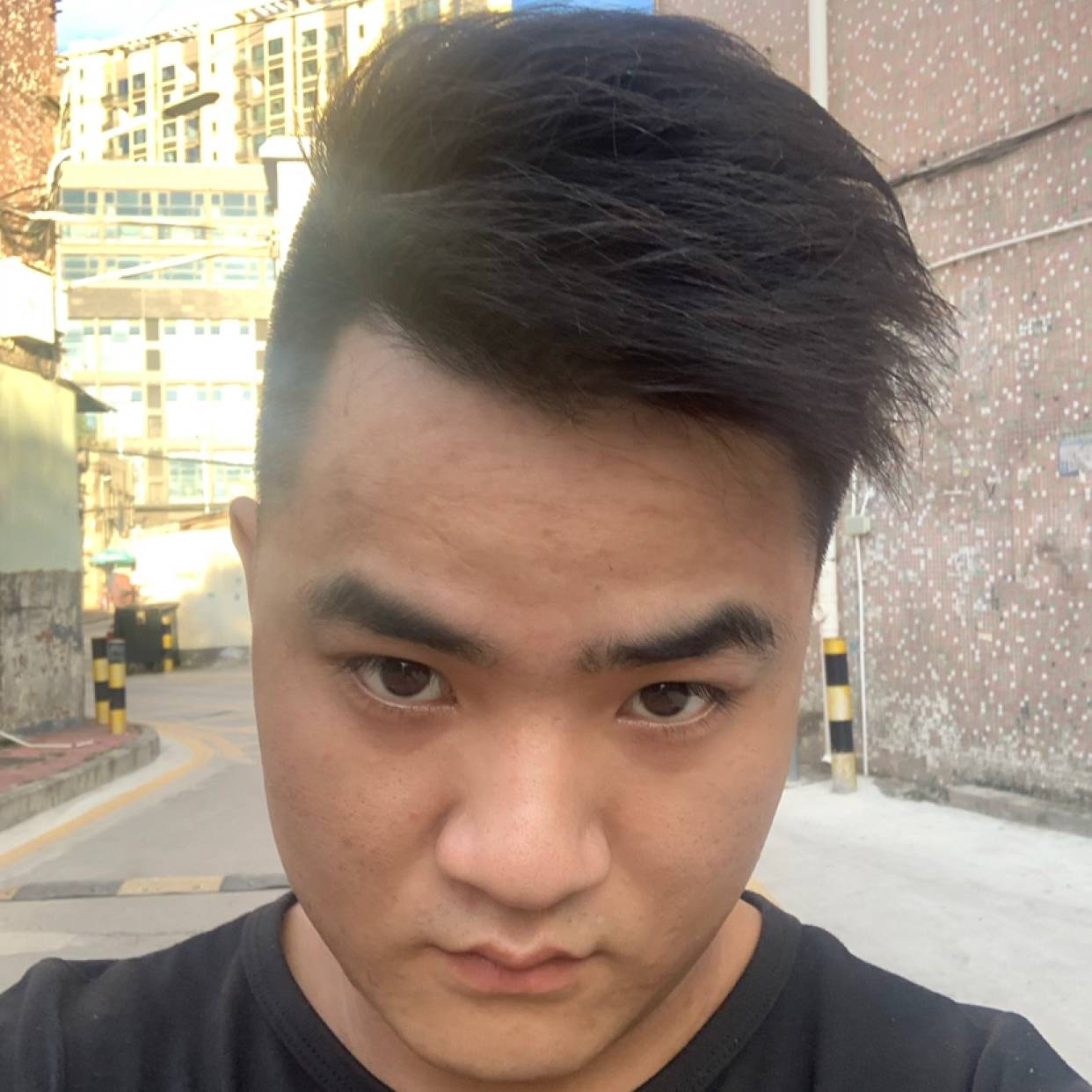 丰富蹁跹鼠标的照片