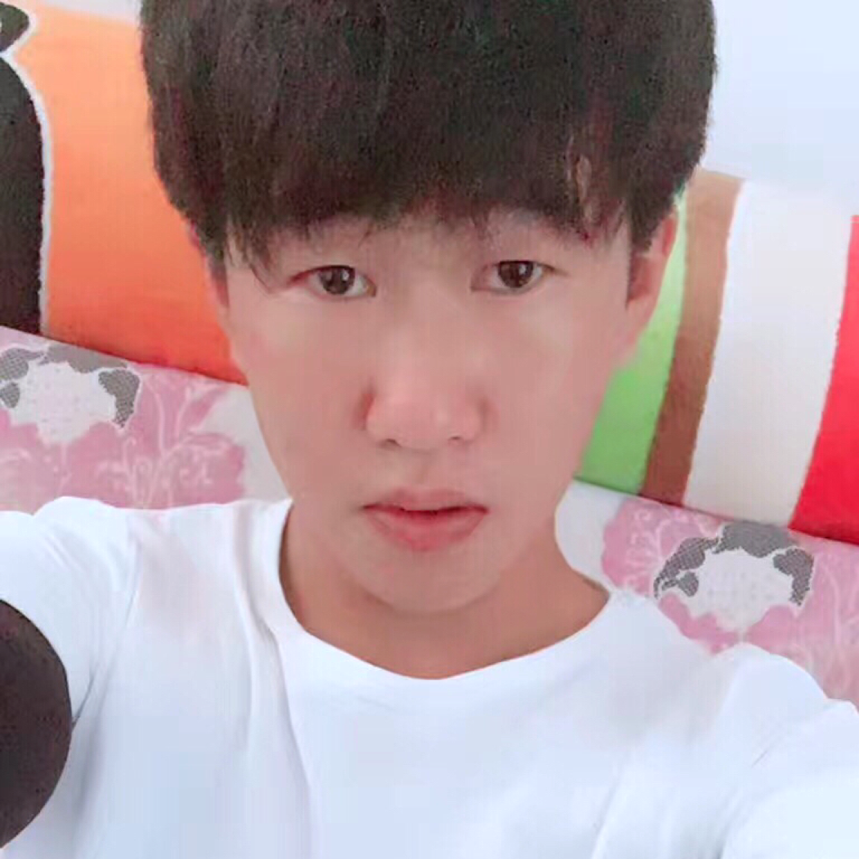 一叶之秋”的照片
