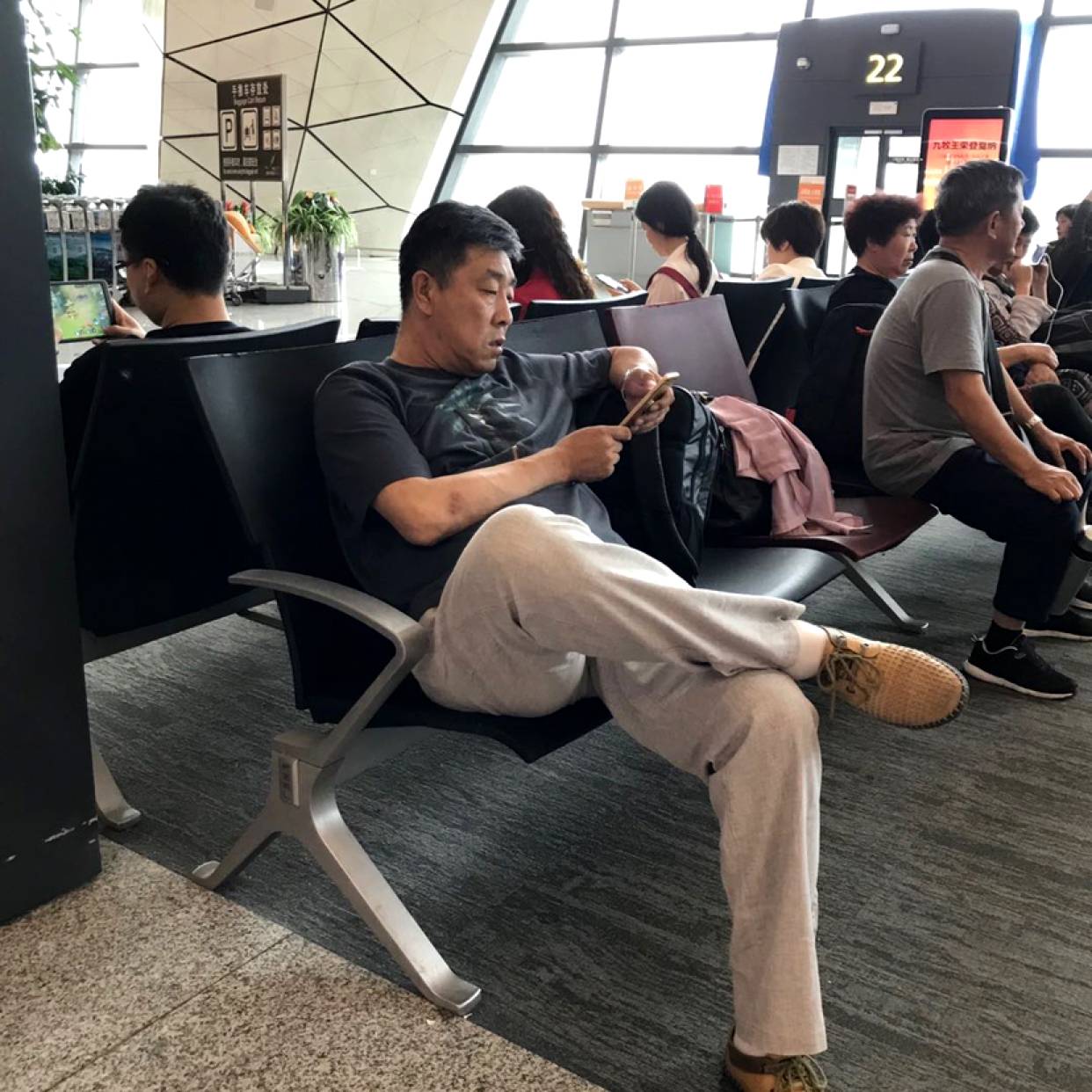 多么清秀的龙的照片