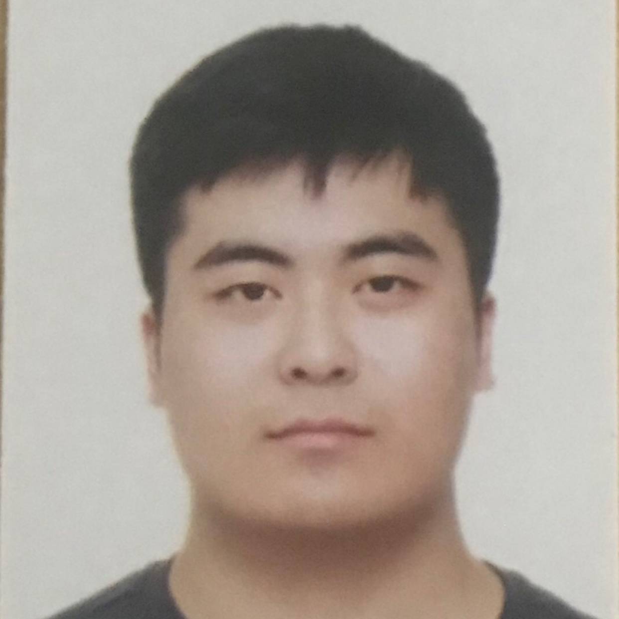 红牛演变勤劳的照片