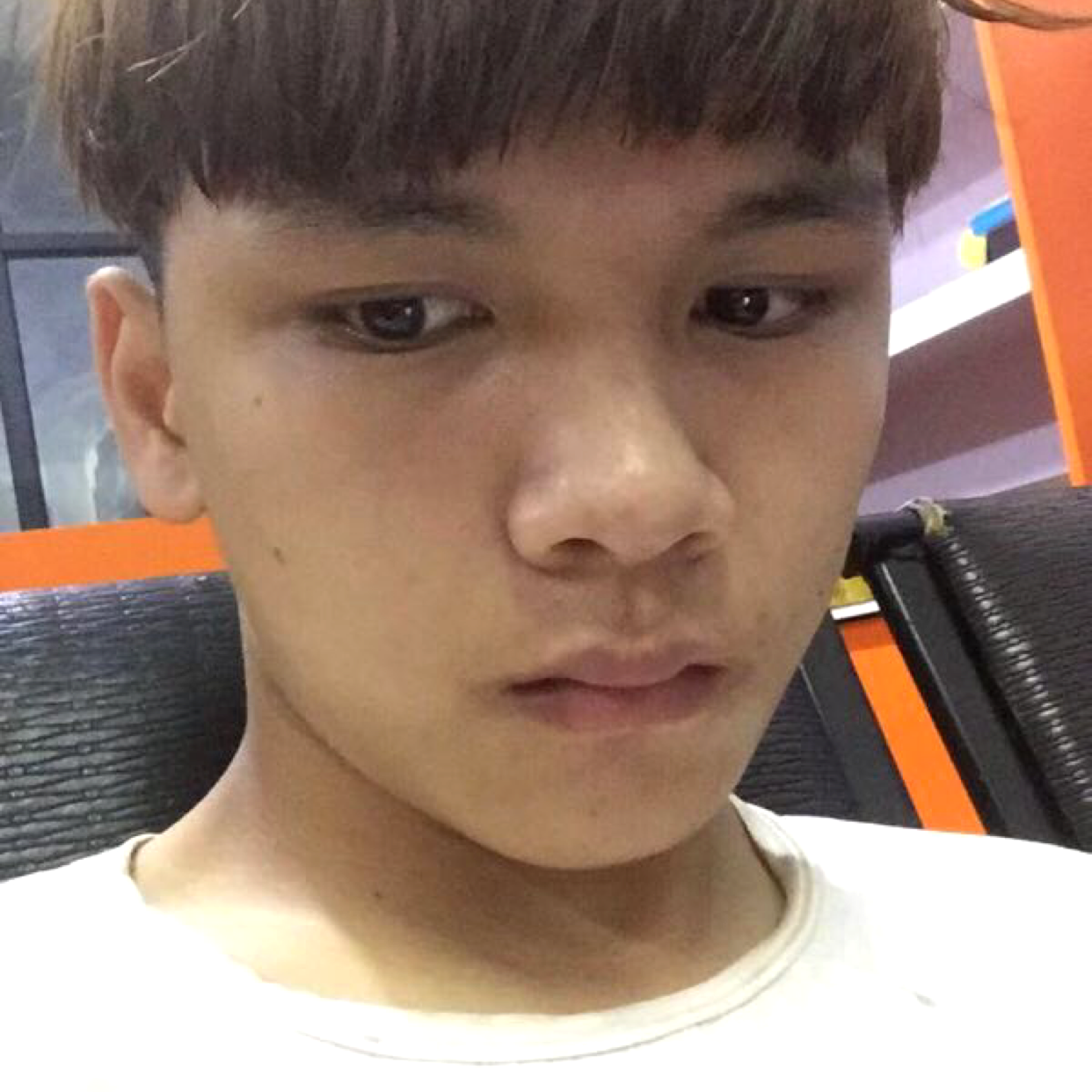 甜蜜倾心小鸽子的照片