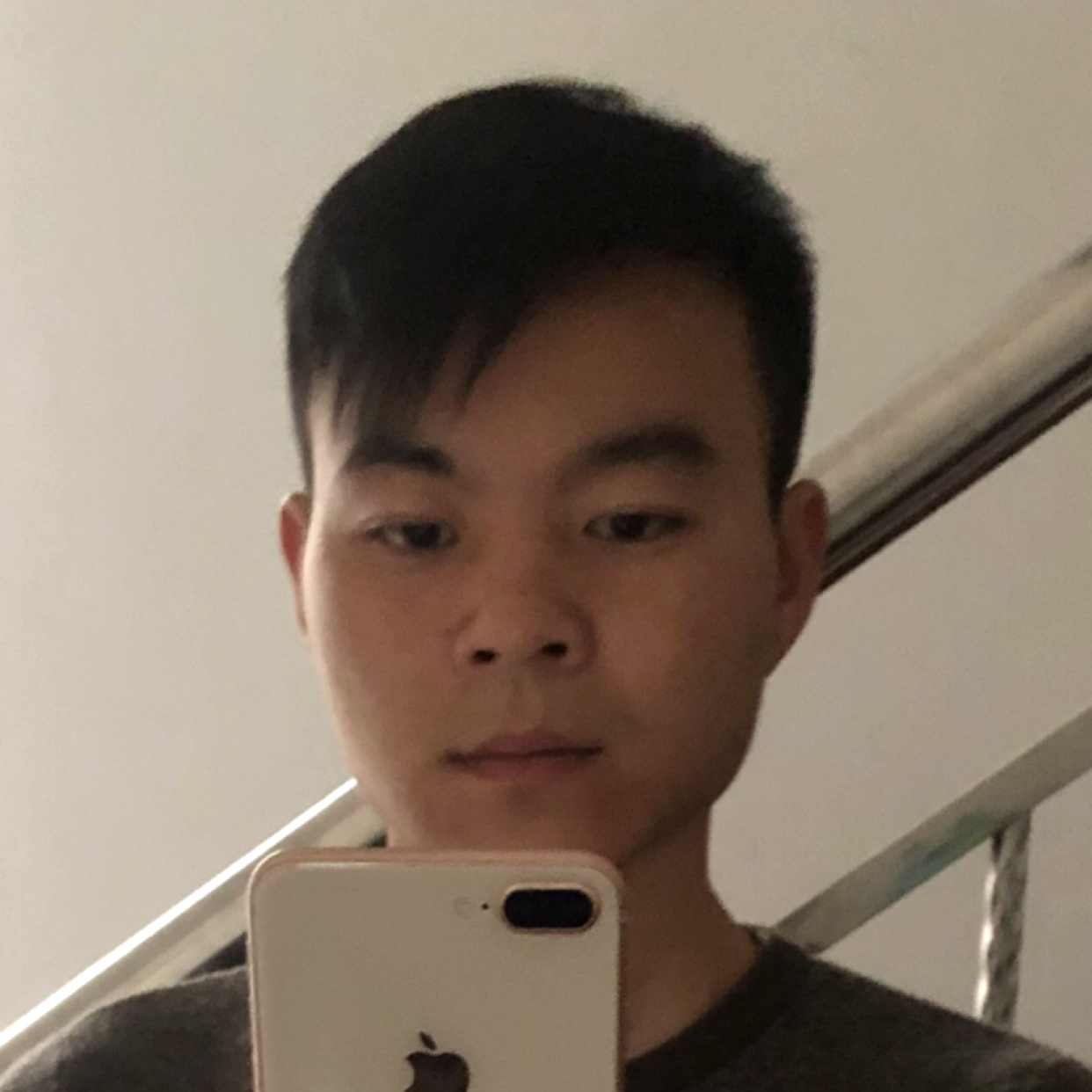 阳光鱼、的照片