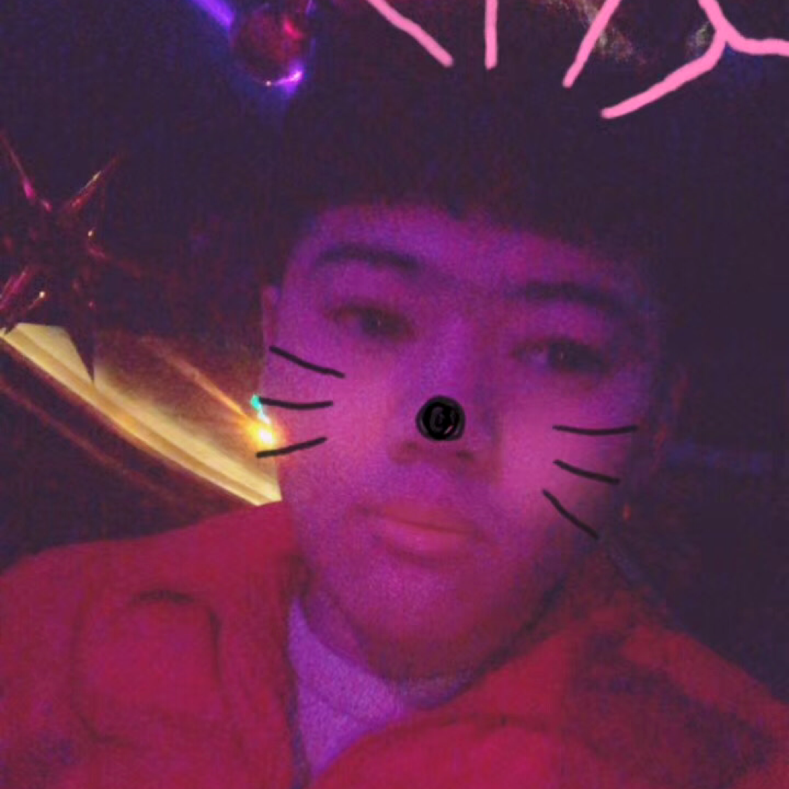 魁梧和小猫咪的照片