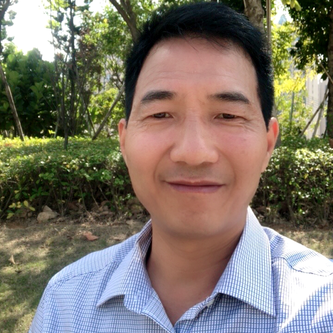 欢呼改变向日葵的照片