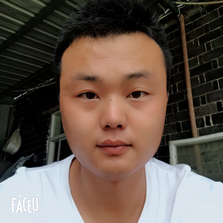 冰棍浅吻平常的照片