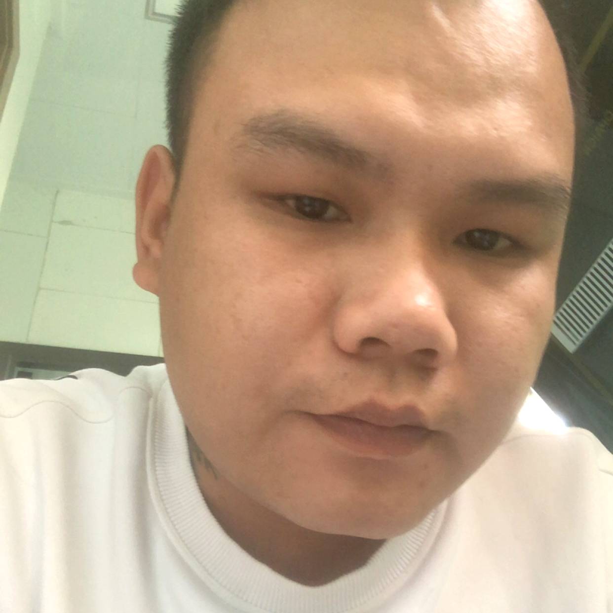 落叶的照片